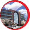 Custom image 1